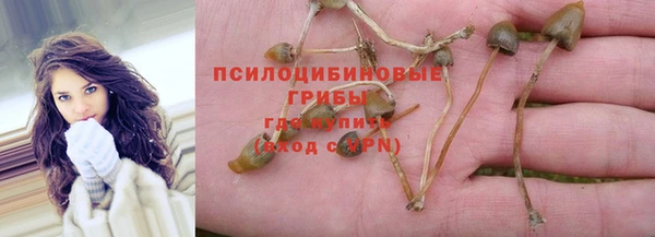 сатива Алексин