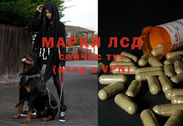 молекула духа Алексеевка