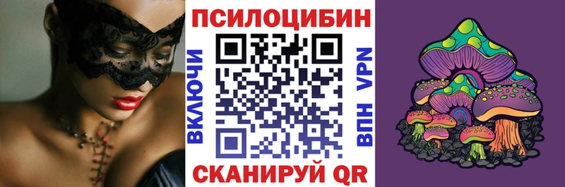 Псилоцибиновые грибы Cubensis  купить  цена  Щигры 