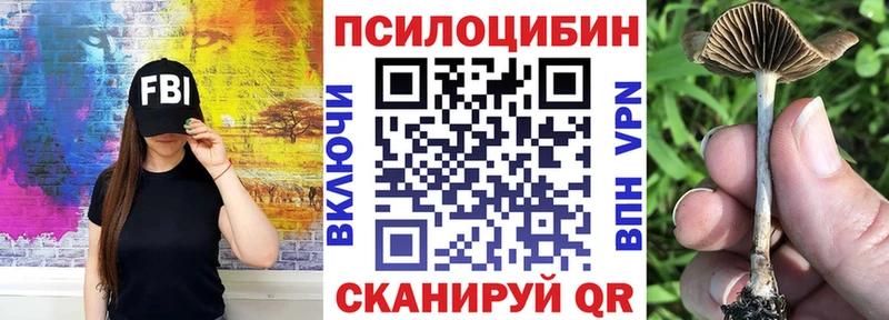 Псилоцибиновые грибы прущие грибы Щигры